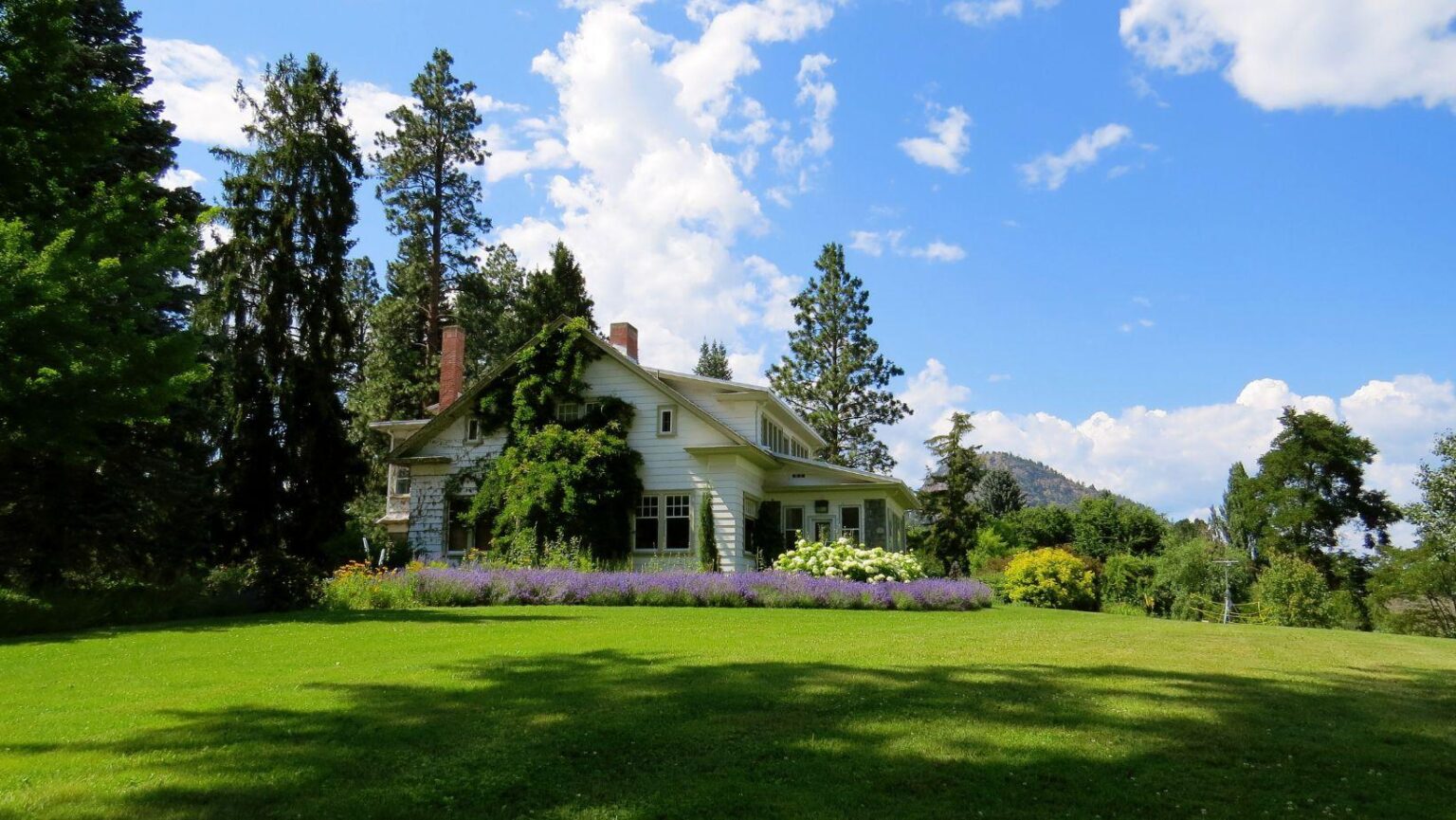 Tired of Loud Cities? Here Are the Quietest Urban Destinations in the U.S. Worth
Visiting